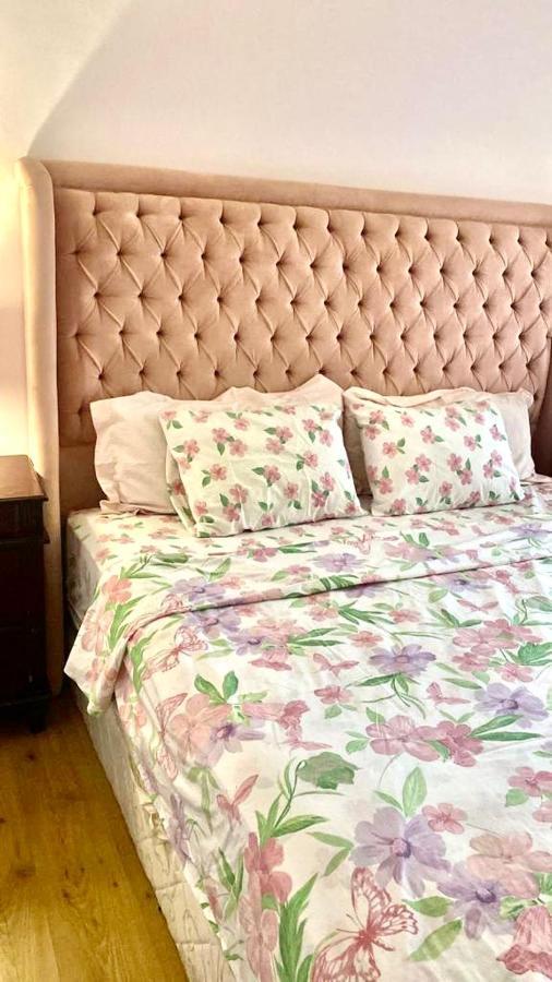 Luxurious 3 Bedroom Rustic Apartment Overlooking Huge Garden - For Families And Couples Kairó Kültér fotó